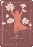 Earth Song Oracle Cards by Tarn Ellis