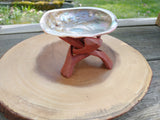 Abalone Small Shell