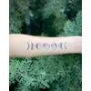 Moon Magic Temporary Tattoo
