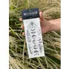 Moon Magic Temporary Tattoo