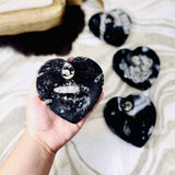 Orthoceras Polished Heart Dish
