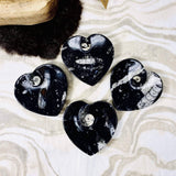 Orthoceras Polished Heart Dish