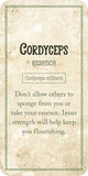Mushroom Affirmations by Nicola McIntosh
