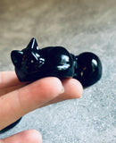 Sleepy Black Obsidian Cat