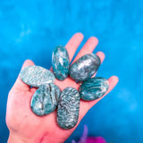Graphic Amazonite Palm Stone