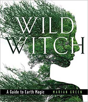 Wild Witch, Earth Magic (hc) by Marian Green