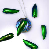 Jewel Wing Abalone Necklace