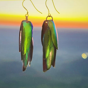 Jewel Wing Earrings